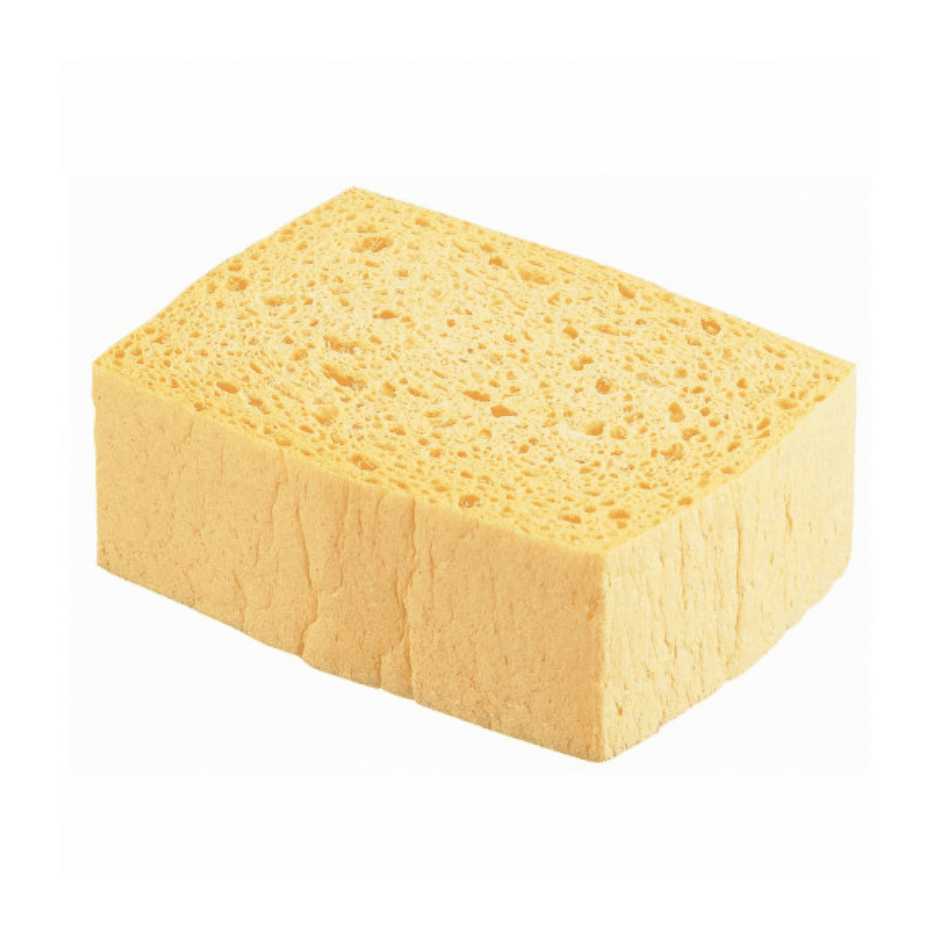 Éponge végétale